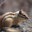 천마산농장 이미지