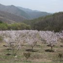 상승농장2 이미지