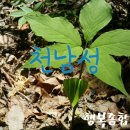 평안설비