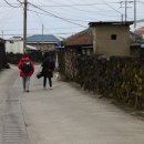 제주까망이 이미지