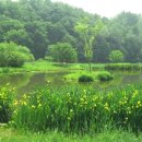 버스정류장(삼익아파트 앞) 이미지