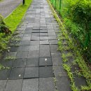 경기도 수원시 장안구 수성로258번길 이미지