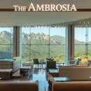 호텔 펠리체 | [설악산 호텔 리조트] 소노펠리체 델피노 설계 후기