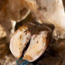 우사랑동물병원 이미지