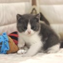 집사의 하루 대구점 이미지