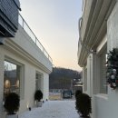 오아시스온 | 대형 베이커리 카페 '그리네 오아시스' 에서 자연 속 힐링하고 온 후기 ~