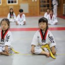 효경석사태권도 네이버블로그