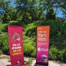 강릉 가볼만한곳 오죽헌 전통 뱃놀이 체험후기(이용요금, 운영시간, 예약방법)