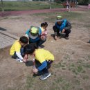 유촌초교 이미지