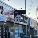 군산 실비집 여행가면 들려야할 나운동 맛집 개코포차
