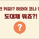 하와이코나사자커피 - 동구 동대구로 550 | 하와이코나사자커피