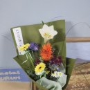 창도체육관 | ADHD 콘서타 복용 2일차 + 일상