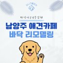 동건스애견카페 | 남양주 대형 애견카페 두 개 동 바닥 리모델링, 공간별 샌드플로어 맞춤 시공 후기