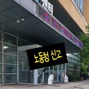 관행유치원 | ☎애견훈련소 유치원 애견호텔 애견미용실 애견미용사 초보 견습생 최저임금 퇴직금 노동청 분쟁 후기
