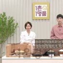 늘푸른영어조합법인 이미지