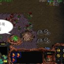 인스네어 이미지