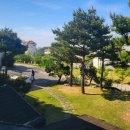 그린뷰 펜션 이미지