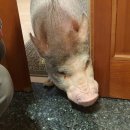 황실크리닝 이미지