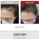 임명도헤어 | 머리나는 케어토닉과 샴푸 판매하는안산 고잔동의 임명도헤어