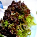 강화식당 이미지