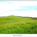 한우목장 이미지