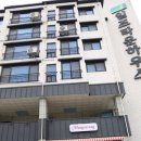 전주애견유치원 몽카롱 이미지