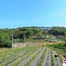 성지골낚시터 이미지