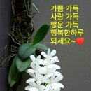 행운 이미지