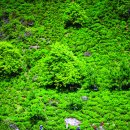 초록화원 이미지