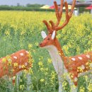 부여군청 광장 | 📢 부여 세도 방울토마토 &amp; 유채꽃축제 총정리! (전시·행사·맛집·숙소·할인정보)