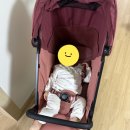 오로라핑크 | 베이비하우스 마곡점에서 득템한 ‘잉글레시나 퀴드3’ 오로라핑크 내돈내산 찐 후기!^0^!