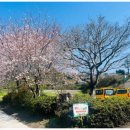 연화어린이집 이미지