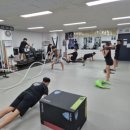 본주짓수킥복싱