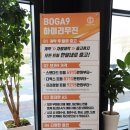 카니발 하이리무진, 보가9 가격 이 정도면 살만한데?