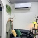 로움살롱