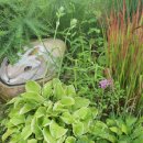 덕평목장 이미지