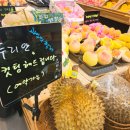 정담청과