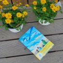 예찬태권도체육관 이미지