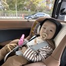 293사진관 | 천안 아기사진 해월사진관 돌촬영 후기