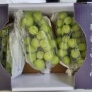 감문면보건지소 이미지