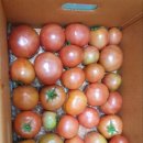 브니엘농장 이미지