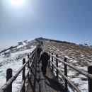 소백산자락길 제4코스 | [소백산 산행] 비로봉 정상까지! 등산 코스 + 사진 리뷰