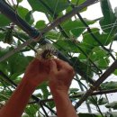 송암농장 이미지