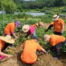 부천시치매안심센터 이미지