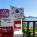 무궁화로 이미지