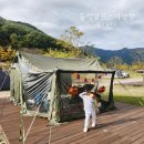 누룽지야영장 | 가족캠핑 명소! 울산 등억알프스야영장 놀이터 있는 2박 3일 할로윈캠핑(쿠디웨이브 감성캠핑)