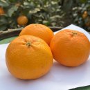 대은농장 이미지