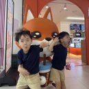 뉴욕꽈배기 장흥유원지점 | (2026/06/27) 양주곤충박물관, 뱀 쓰담쓰담하기!