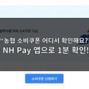 2025 농협 민생회복 소비쿠폰 확인 방법 총정리 (NH Pay·올원뱅크·농협카드 앱) 이미지