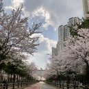 수변로37번길 이미지